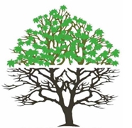 logo spem donare